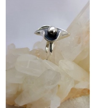 Toplu Gümüş Yüzük